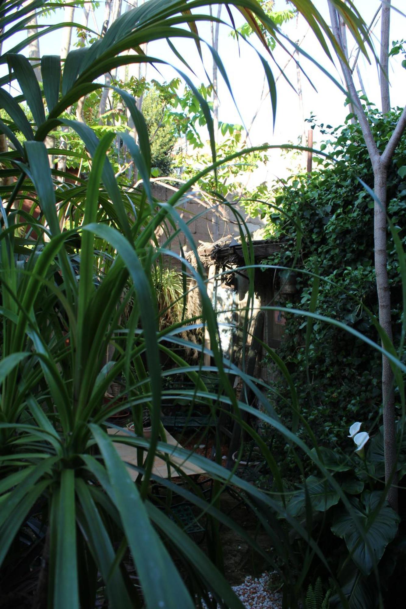 Il Giardino Di Chiara Bed and Breakfast Oristano Exterior foto