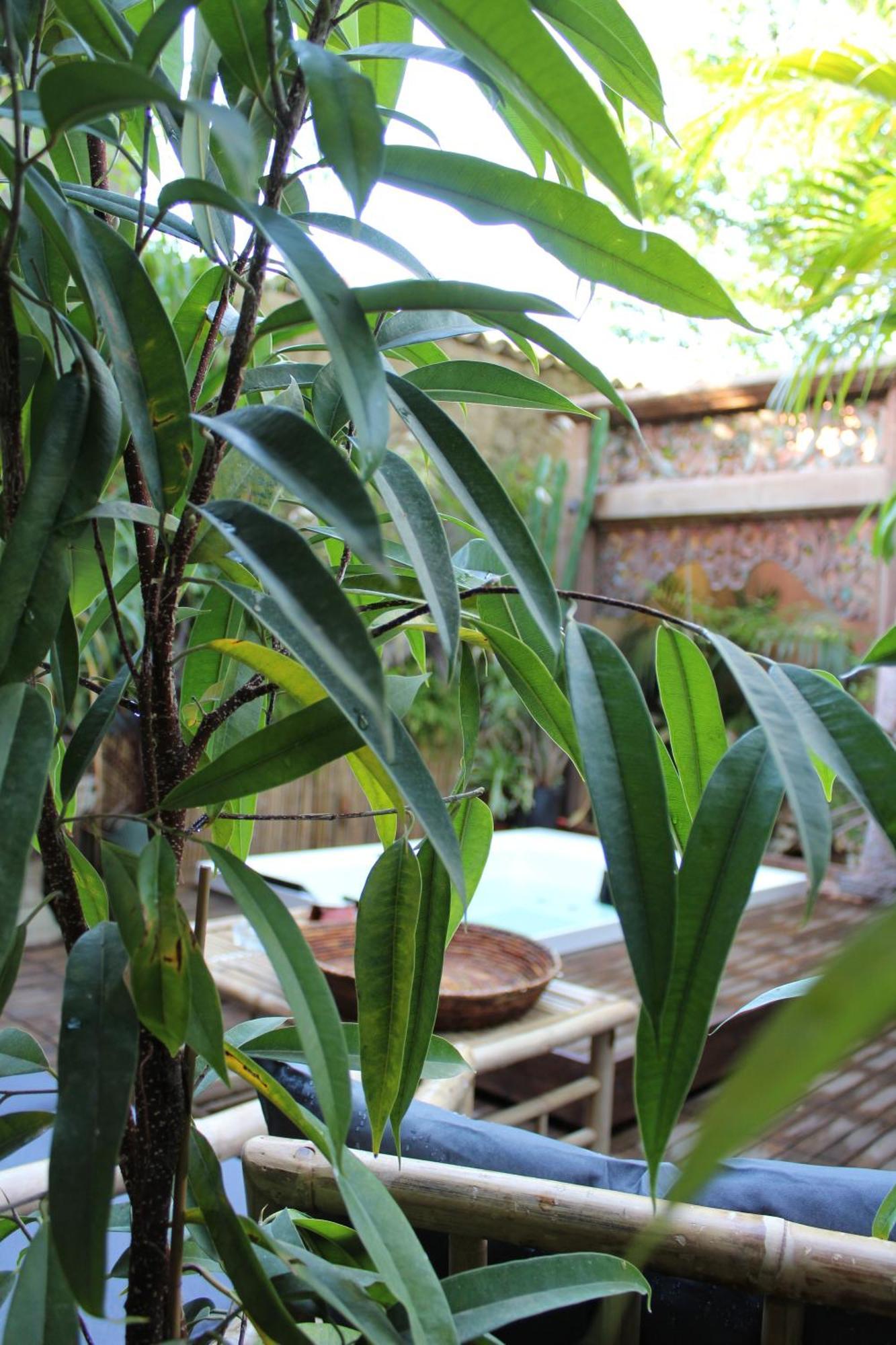 Il Giardino Di Chiara Bed and Breakfast Oristano Exterior foto